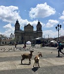 Guatemala-stad