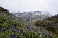 Quilotoa