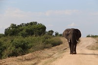 IMG_5631