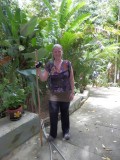 Jungletrekking