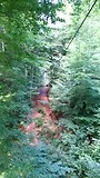 Ilsenburg - Vermaak in het klimpark