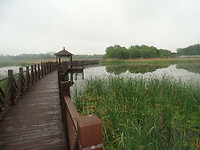 2023-05-17_050-Bezoek aan de Wetlands, Tieling