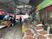 2023-05-20_007-Paddestoelen, Markt, Oud Tieling