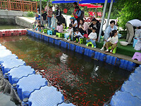 2023-05-28_178-Vissen, Beiling Park, Shenyang