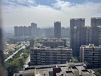 IMG_1334
