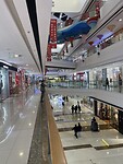 IMG_1347
