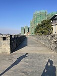 IMG_1466