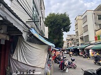 IMG_1486