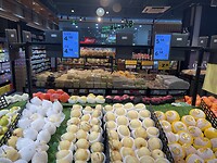 IMG_1548