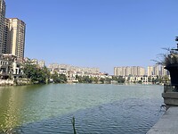 IMG_1524