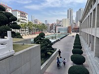 IMG_1584