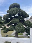 IMG_1585