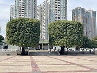 IMG_1587