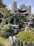 IMG_1611