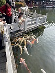 IMG_1625