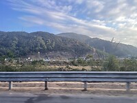 IMG_2241
