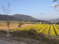 IMG_2246