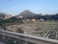 IMG_2249