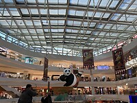 IMG_9550
