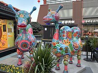 IMG_9598