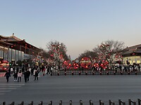 IMG_9611