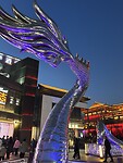 IMG_9643