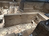 IMG_9750