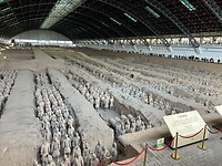 IMG_9786