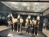 IMG_9791