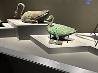 IMG_9818