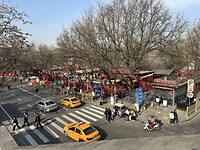 IMG_9937