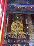 IMG_9945