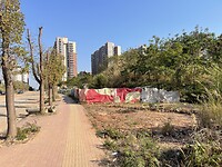 IMG_2922