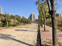 IMG_2923