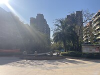 IMG_2967