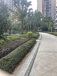 IMG_2968