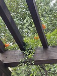IMG_2969