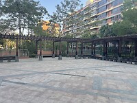 IMG_2970