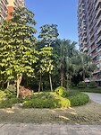 IMG_2971
