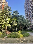 IMG_2972