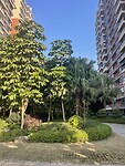 IMG_2973