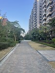 IMG_2975