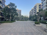 IMG_2976
