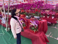 IMG_2953