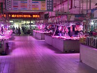 IMG_2960