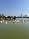 IMG_0259