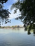 IMG_0263