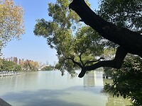 IMG_0298