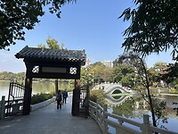 IMG_0301