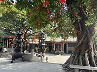 IMG_0326